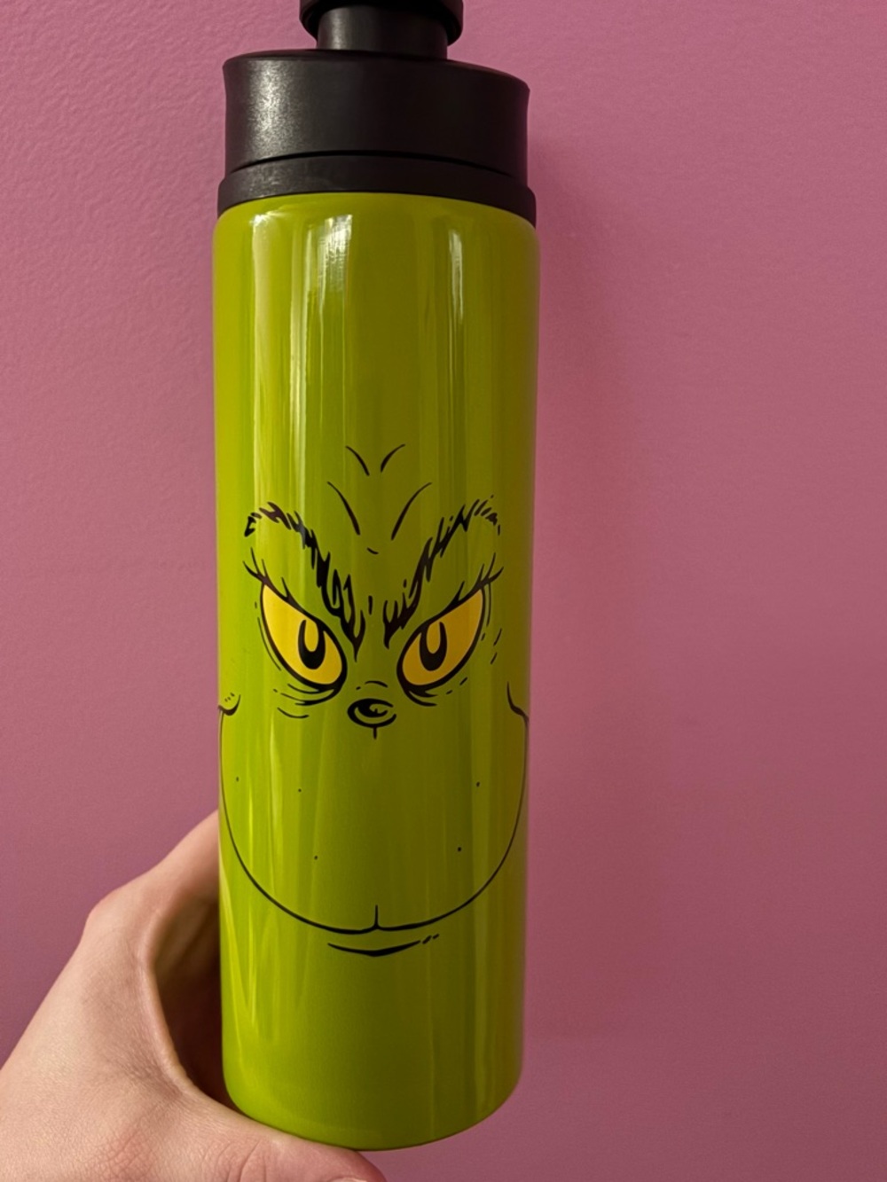 Green Grinch Stainless Travel Bottle - Durable Insulated Water Bottle